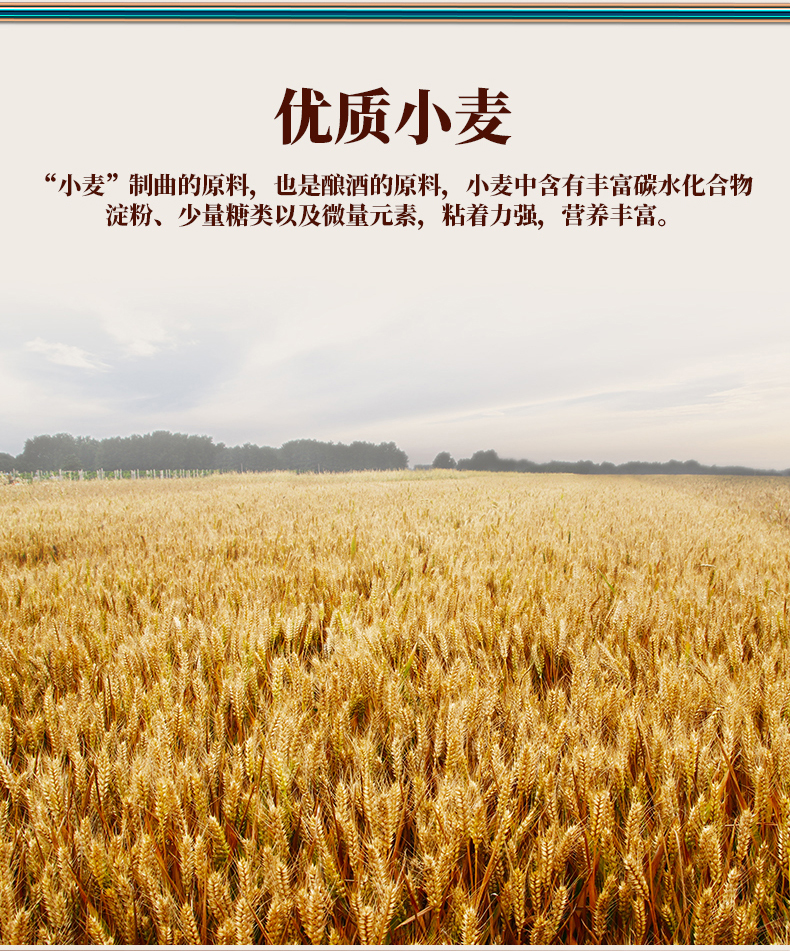 详情页切片_10.jpg