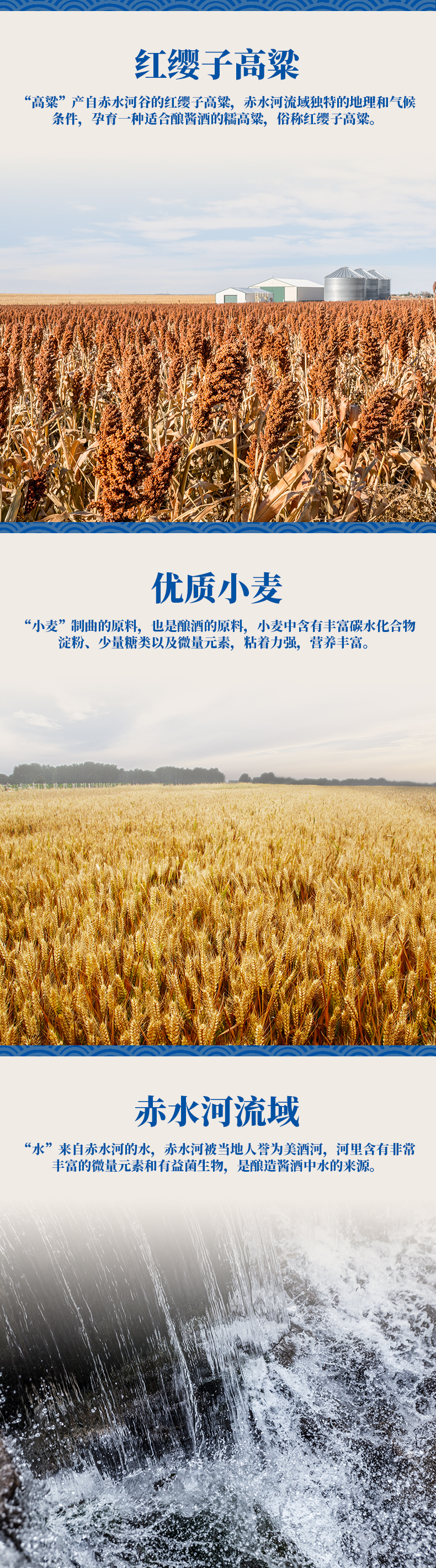 详情页4.jpg