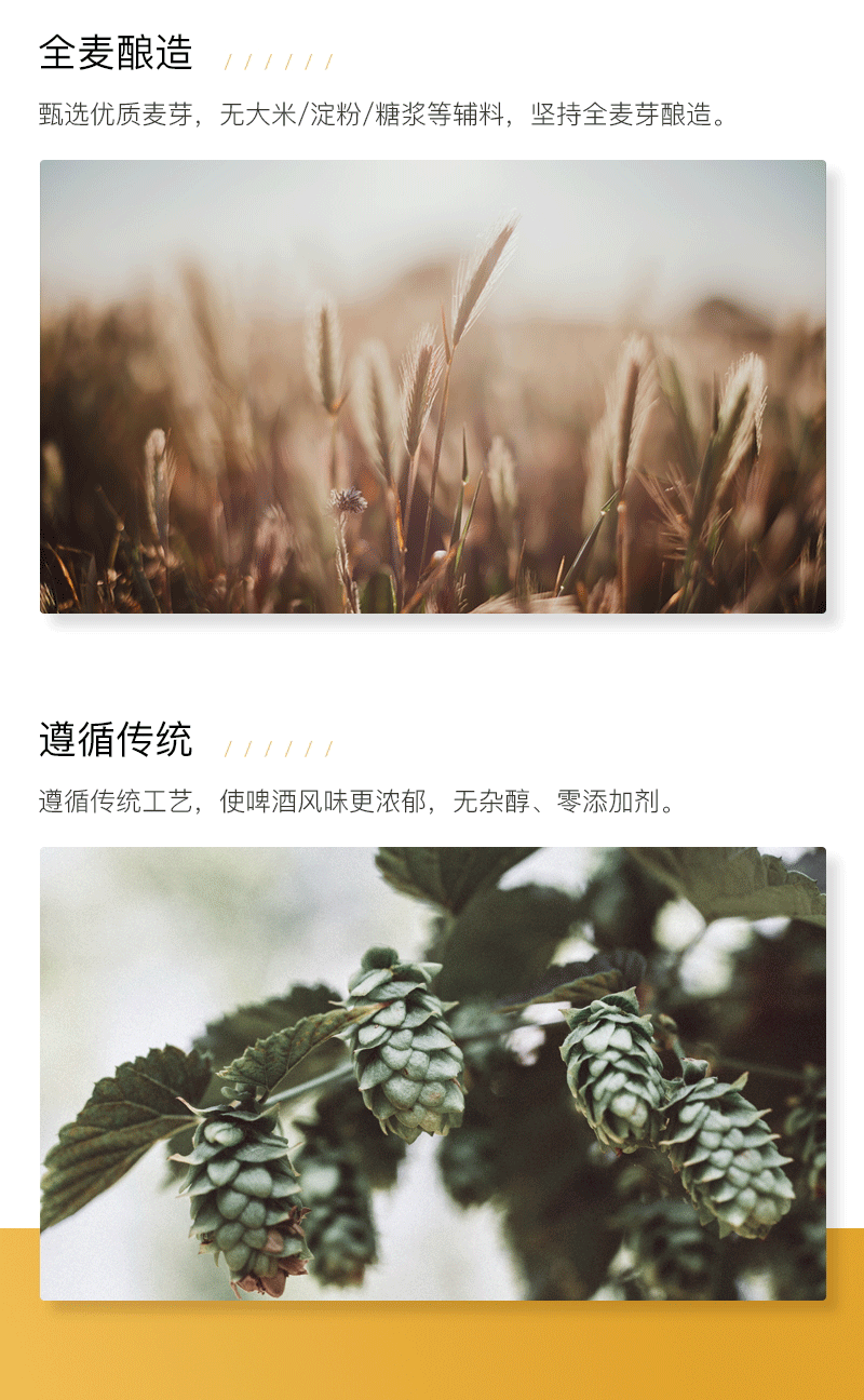 701（246ml）切片_04 - 副本.png