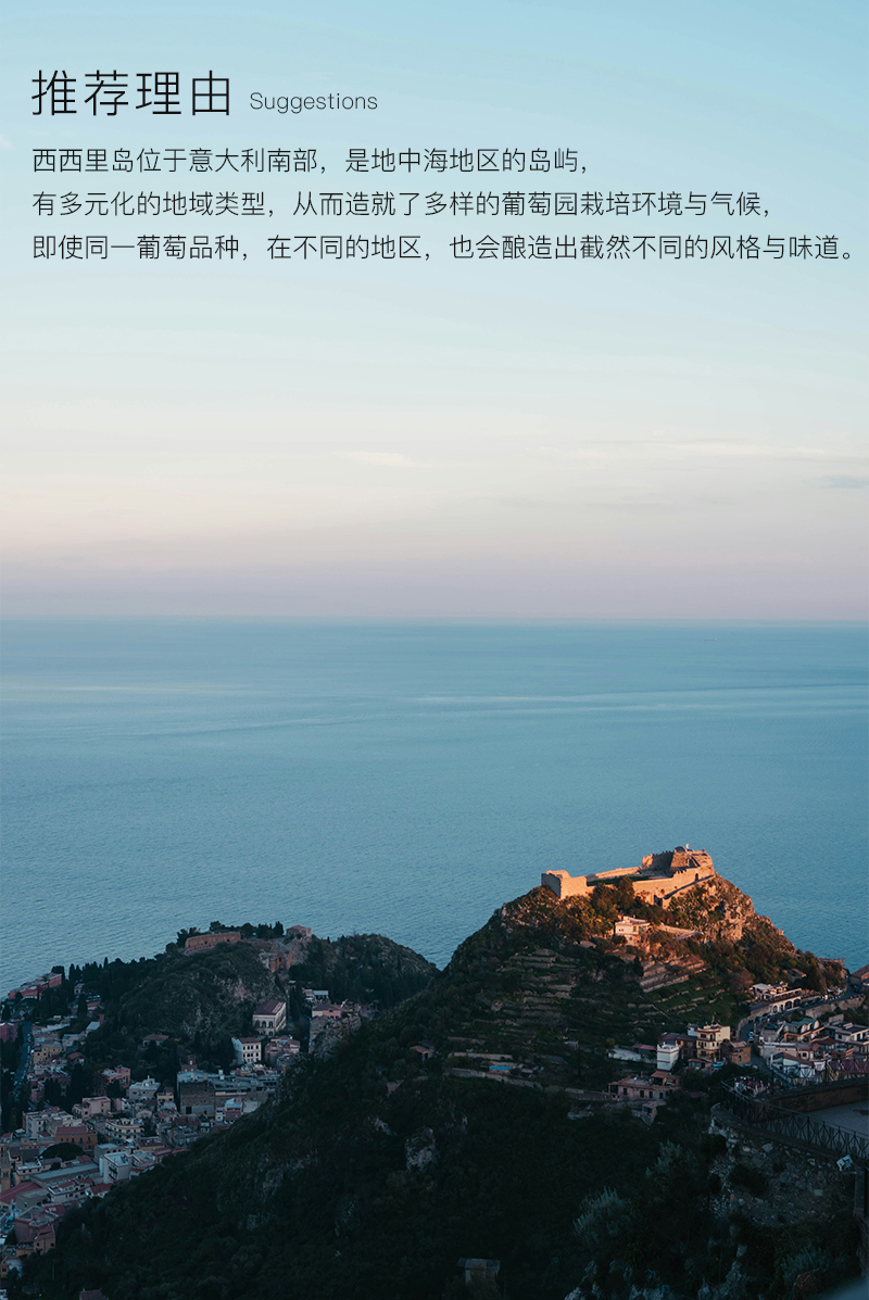 338切片_03.jpg
