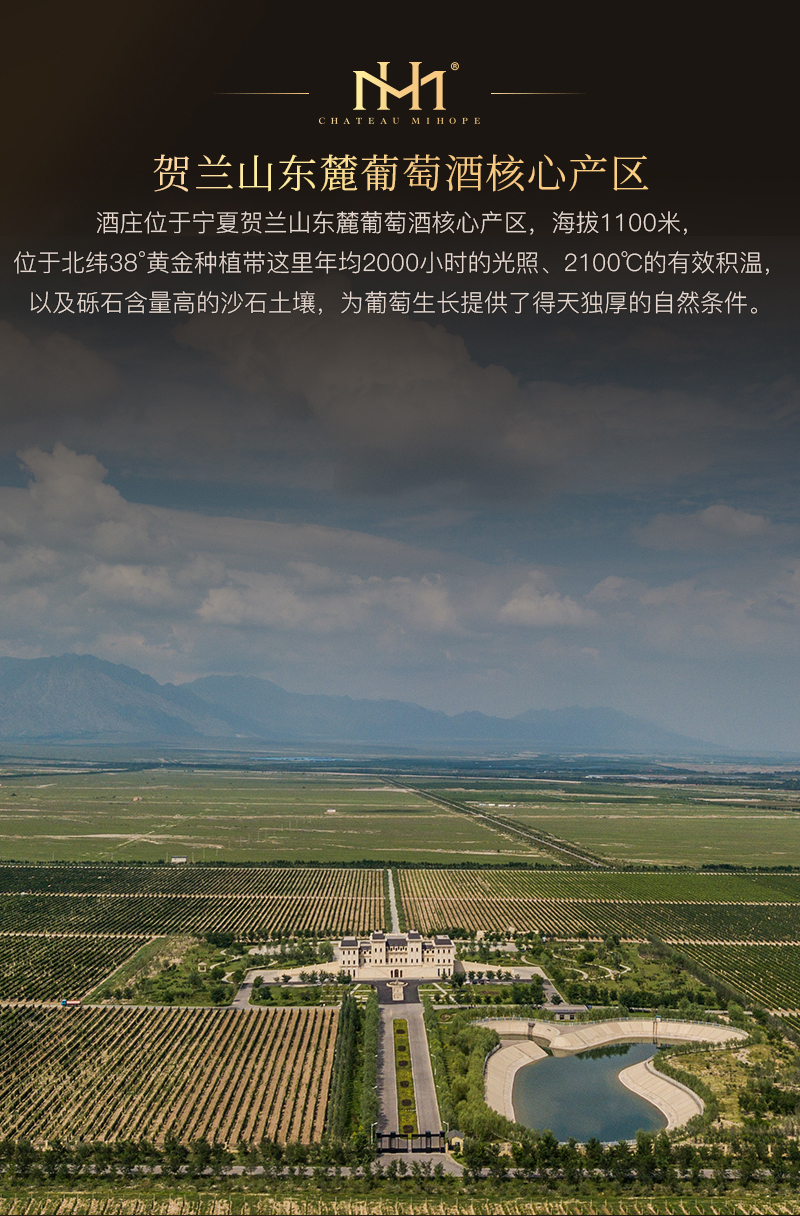 721切片_06.jpg