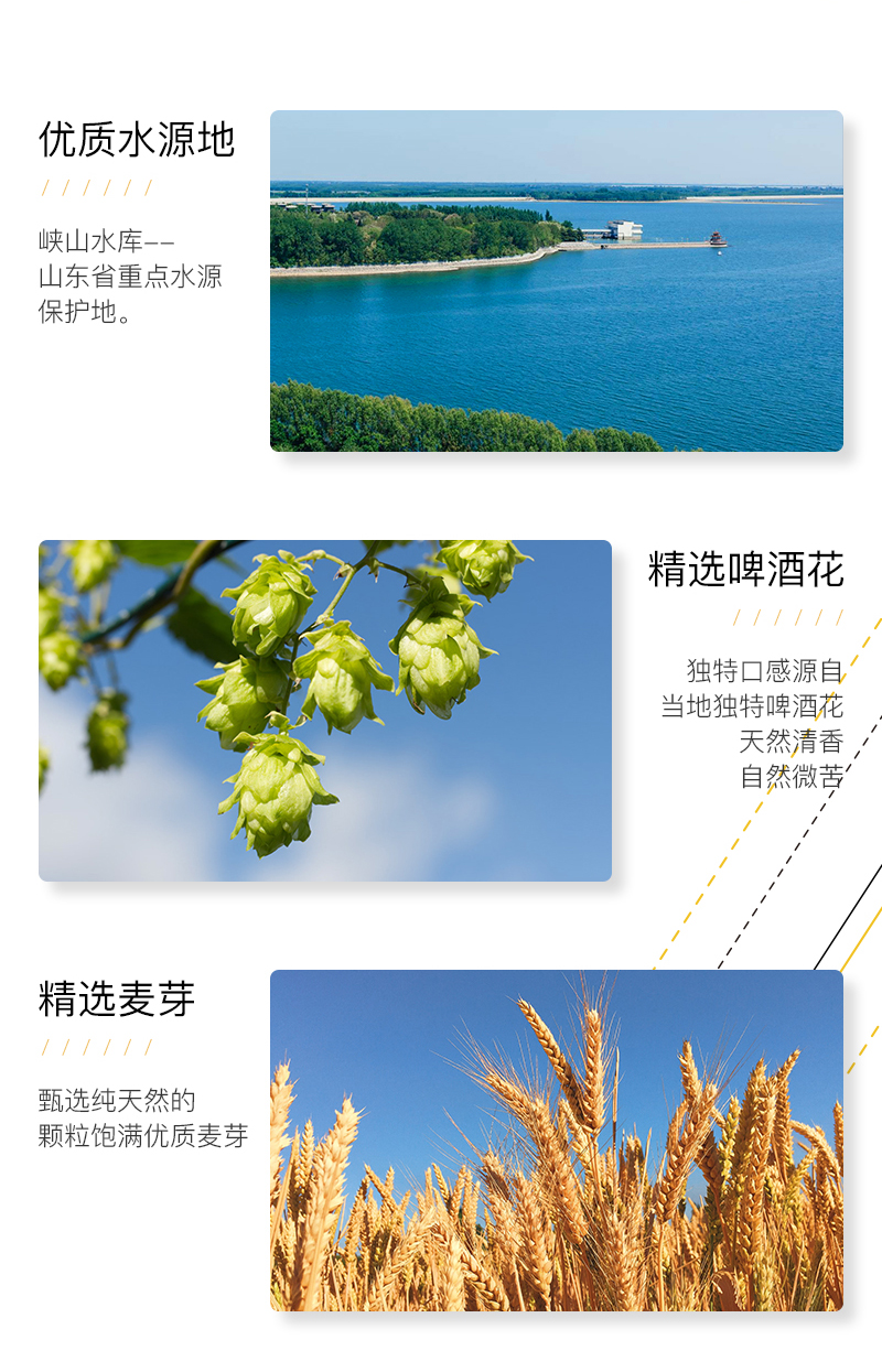 锐马99切片_04.jpg