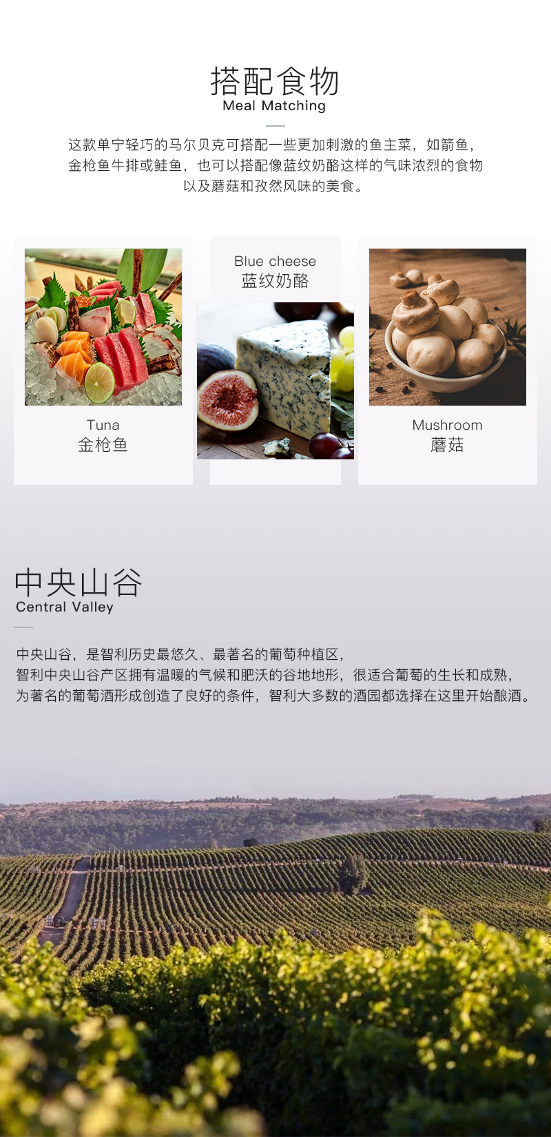 雷盛红酒616智利干红葡萄酒(图3)