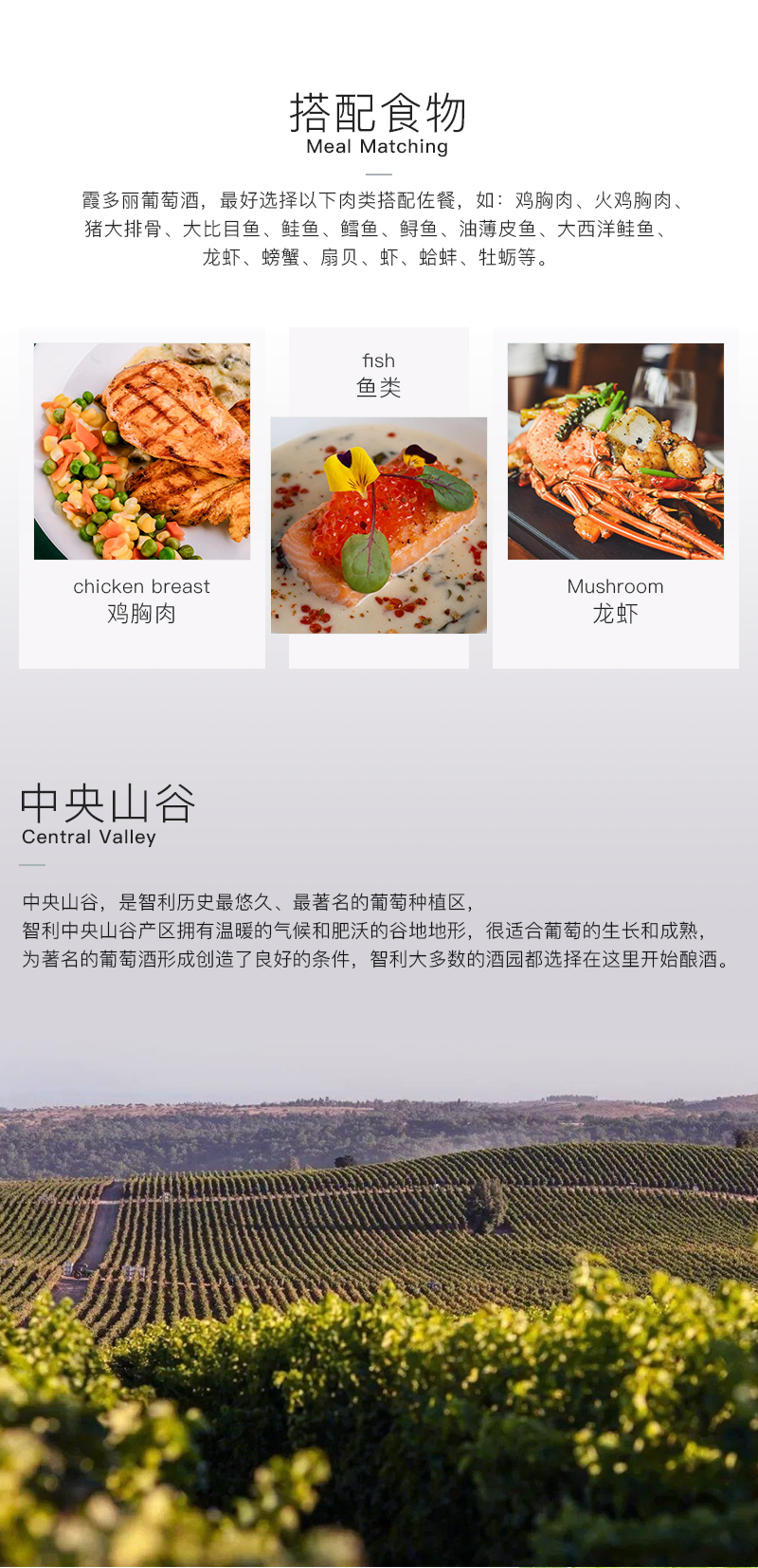 雷盛红酒677智利干白葡萄酒(图3)