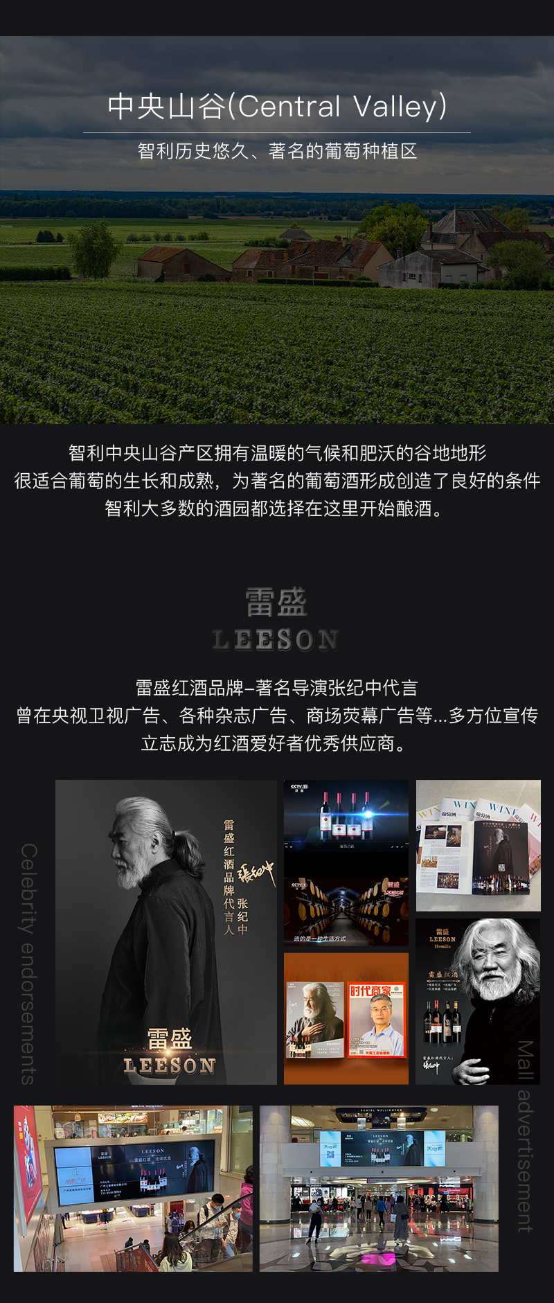 雷盛红酒717智利干红葡萄酒(图4)