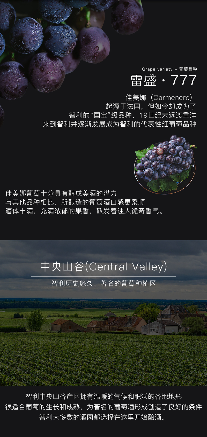 雷盛红酒777智利干红葡萄酒(图4)