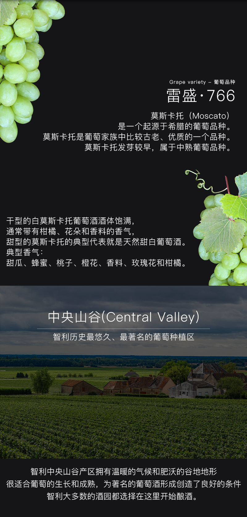 雷盛红酒766智利甜白葡萄酒(图4)