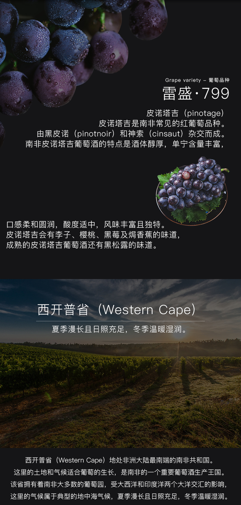 雷盛红酒799南非干红葡萄酒(图4)