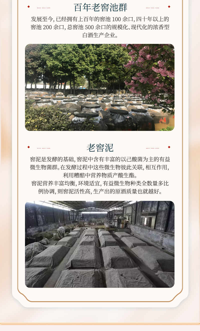 方瓶42°切片_06.jpg