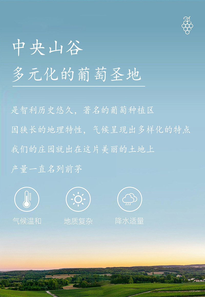 雷盛·老藤切片_09.jpg