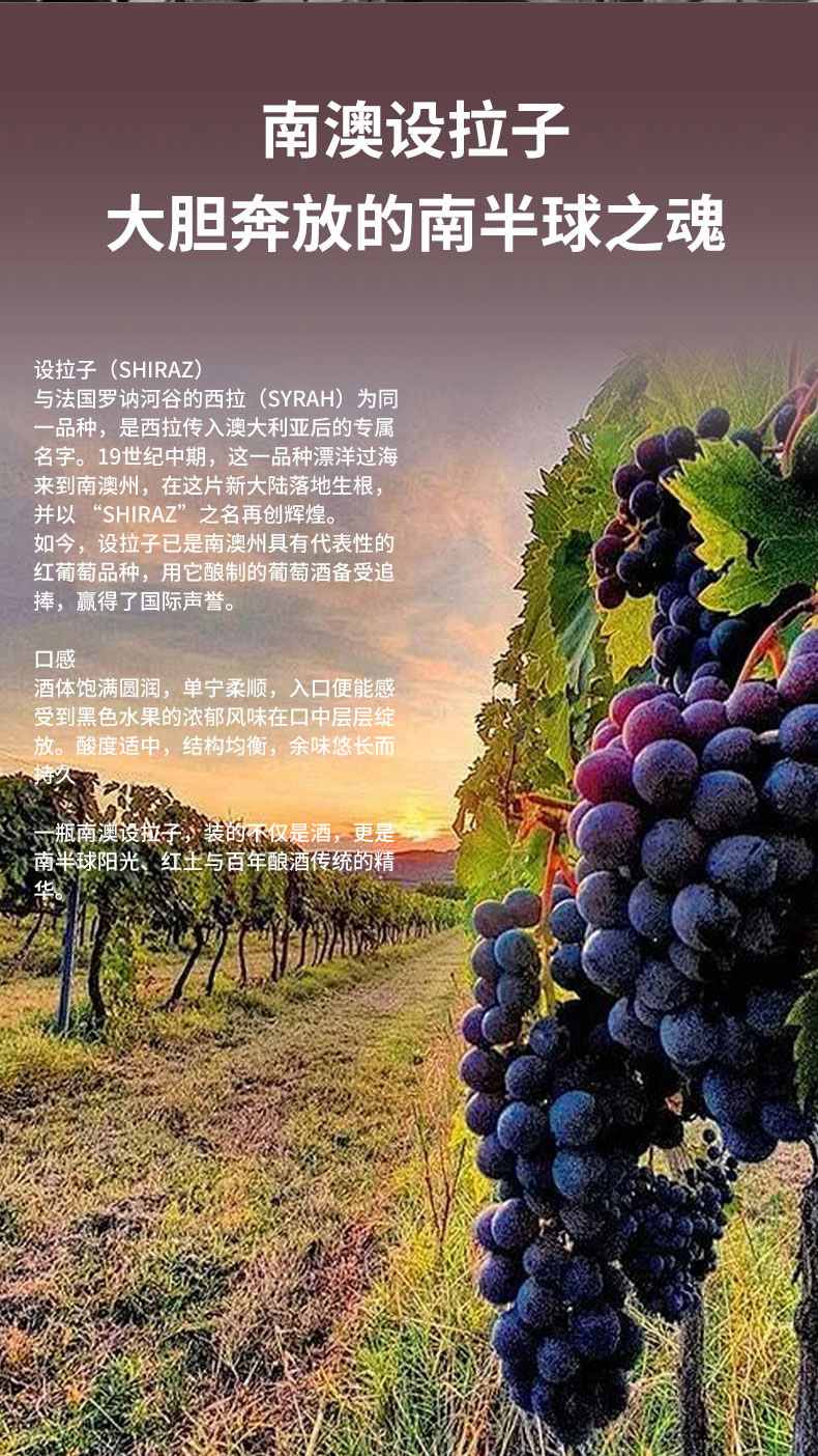 洒派金袋鼠澳洲西拉干红葡萄酒(图7)